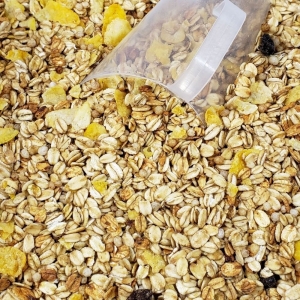 xx_principal-granola-diet-1kg-granel-b92e68cdeeef072a306acf7b5f937dd5.jpeg