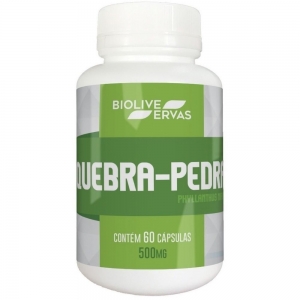 xx_principal-quebra-pedra-500mg-60-capsulas-bioherva-d2e9d4b8203191cf3f6885f0d67402aa.jpeg