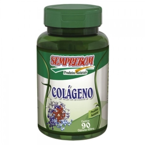 xx_principal-colageno-hidrolisado-90-capsulas-450mg-93ad1019919f9da94b2999cda9dbf677.jpeg