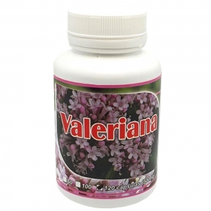 xx_principal-valeriana-officinalis-500mg-120-capsula-5f91c4980558f19c602300722c99c9ee.jpeg