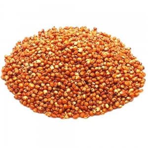 xx_principal-sorgo-marsala-em-graos-kg-7426c6d1c7ea2bcdfdb3d0b77d88ada7.jpeg